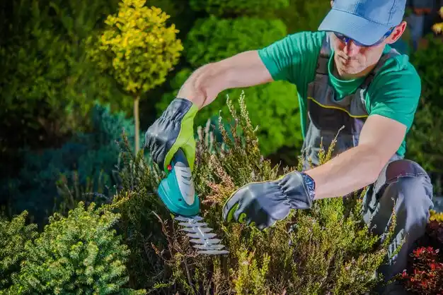landscaping services Everett